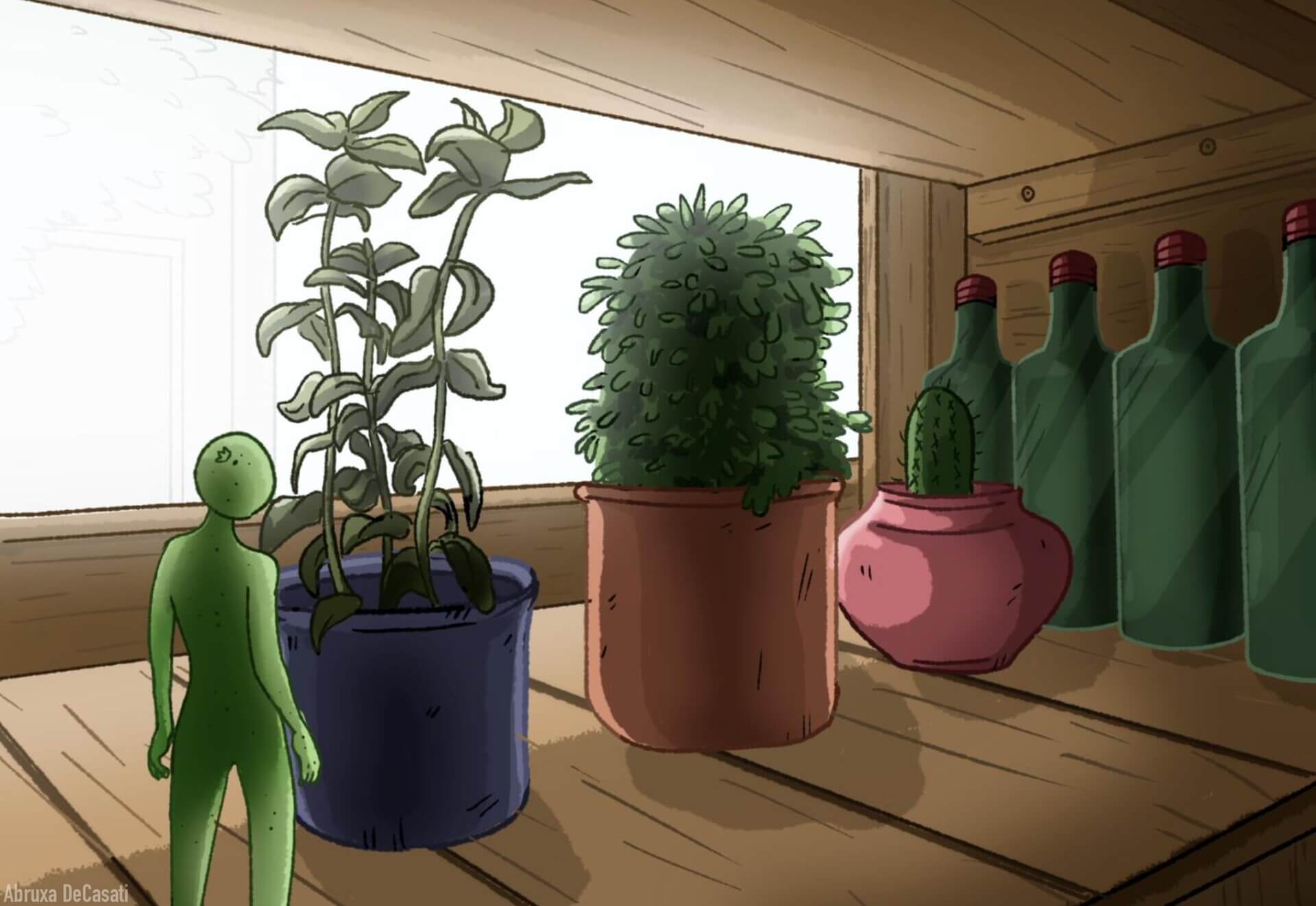 Illustration 5